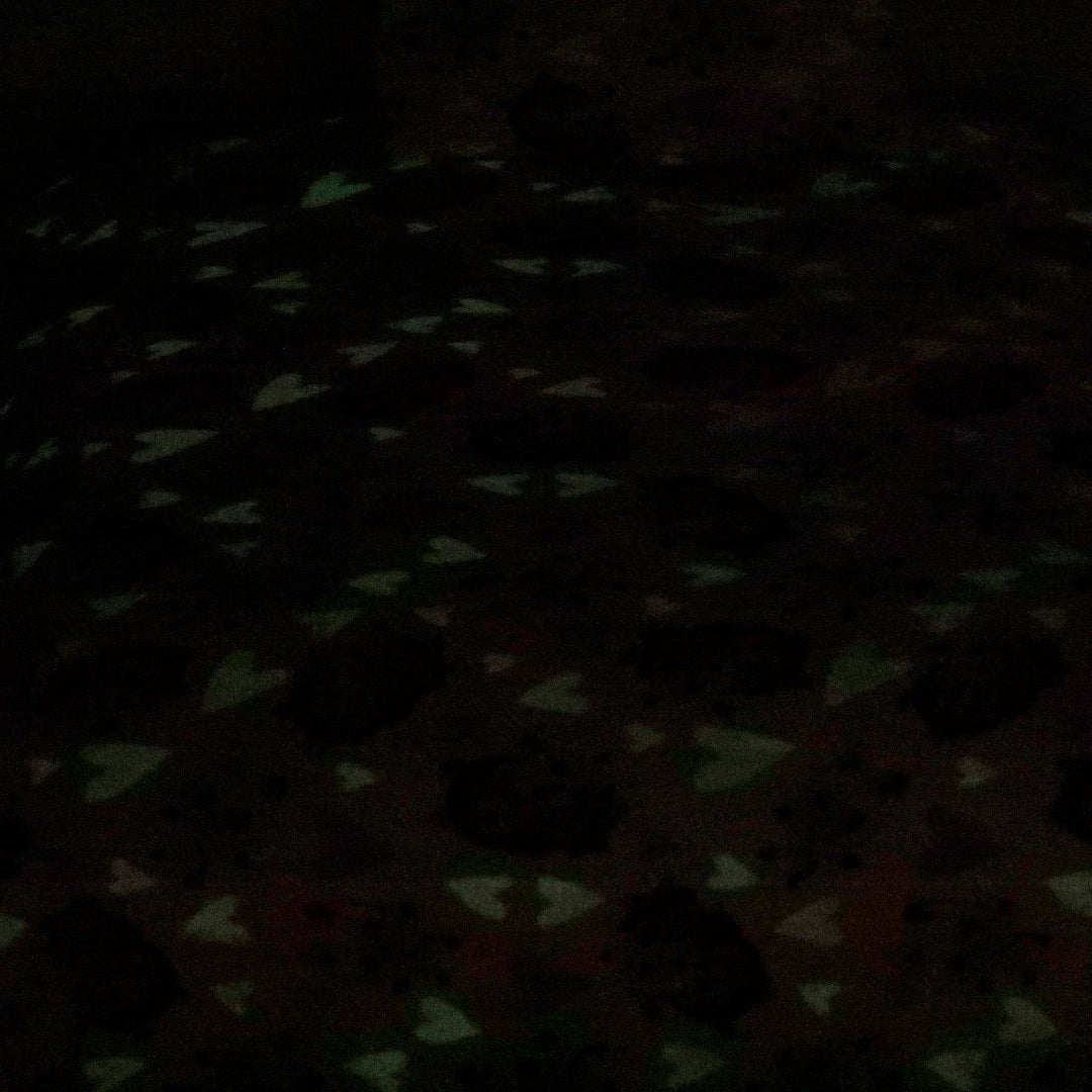 Dinosaur Wonderland - Cartoon Bed sheet ( Glow in Dark) King - Lotus