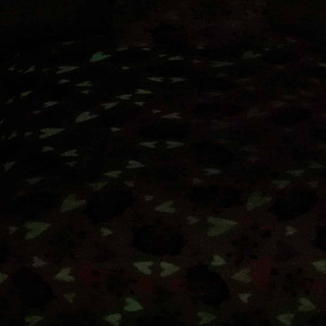 Dinosaur Wonderland - Cartoon Bed sheet ( Glow in Dark) King