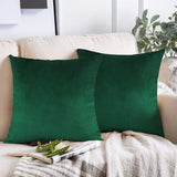 Velvet Cushion Cover (Pack of 2) RFS