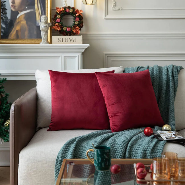 Velvet Cushion Cover (Pack of 2) RFS Main Image