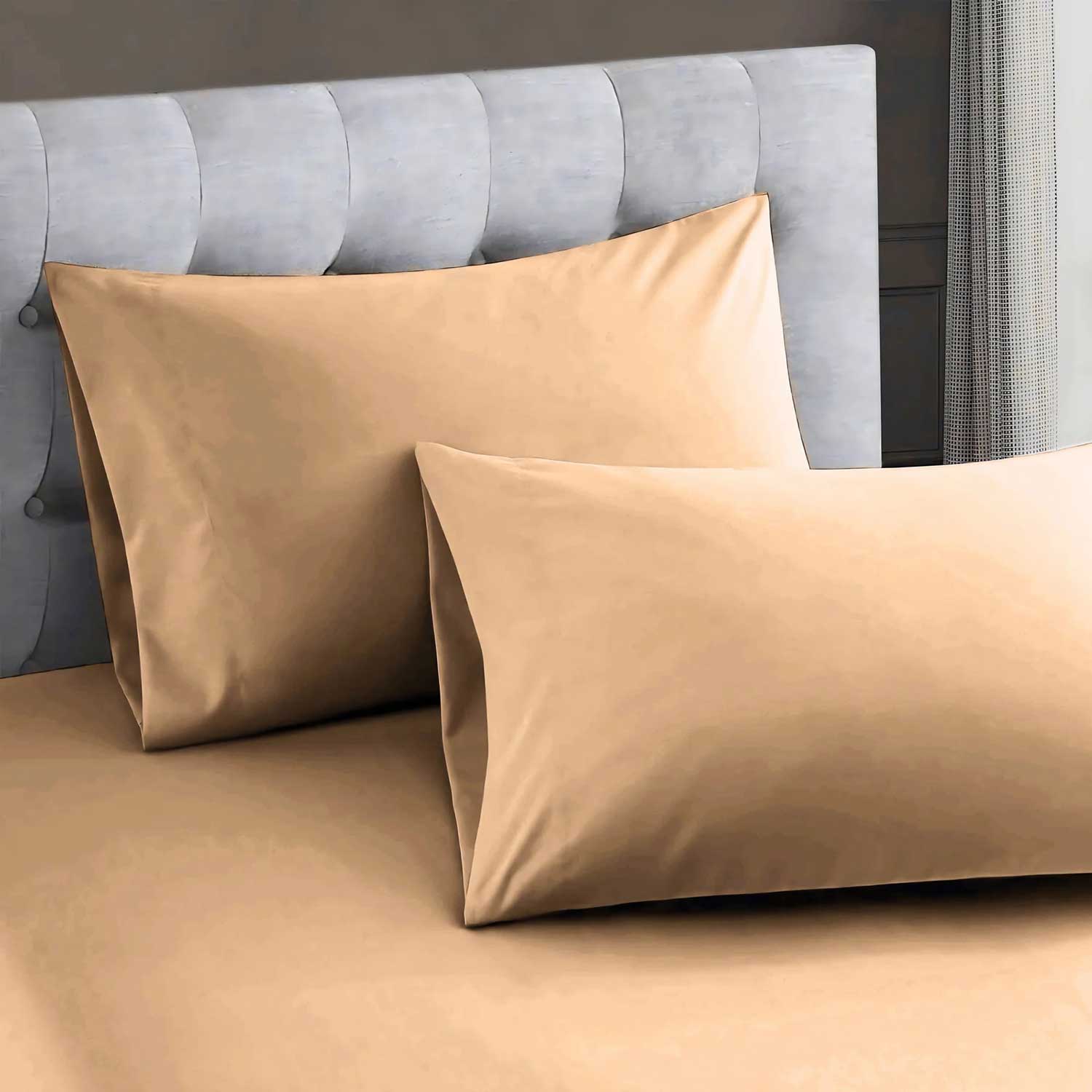 Beige - Bed Sheet Set Single