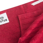 Export Quality Flat & Terry Kitchen Towel Red Stripe