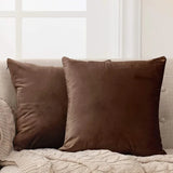 Velvet Cushion Cover (Pack of 2) RFS