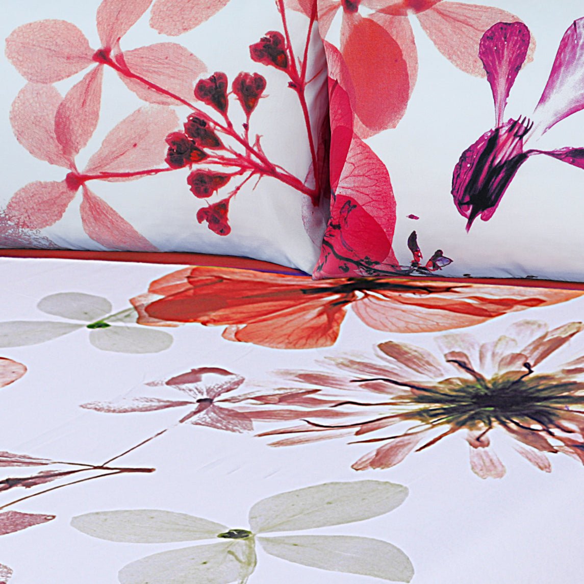 Dried Flower - Panel Bed Sheet Set King - RFS - Lotus