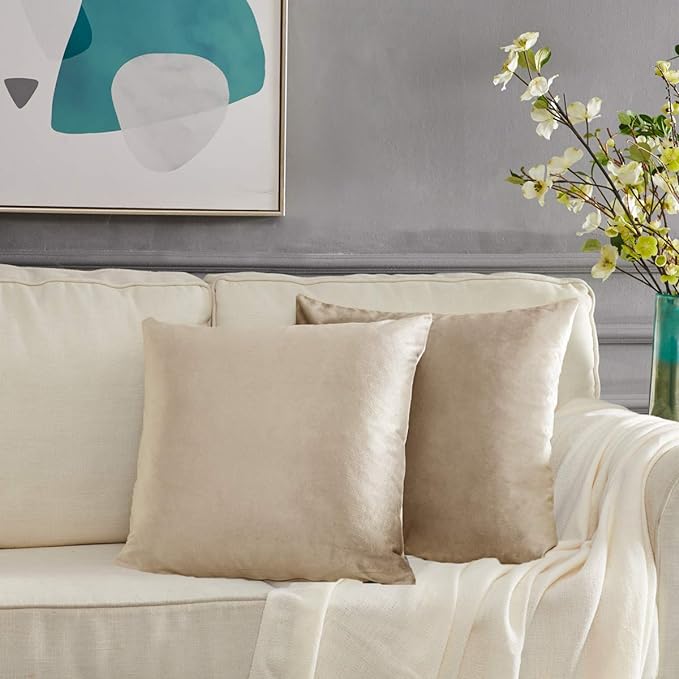 Velvet Cushion Cover (Pack of 2) RFS - Lotus