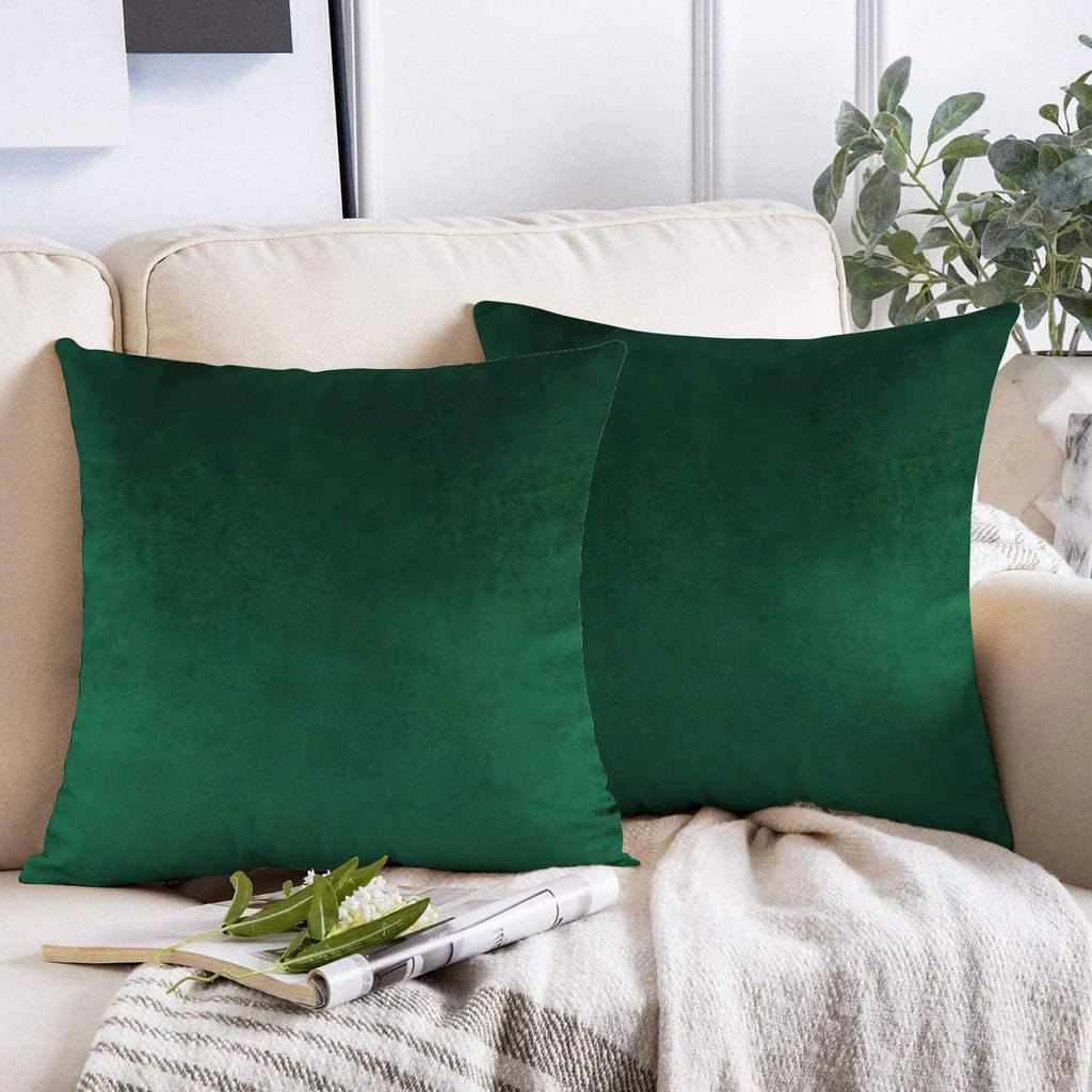 Velvet Cushion Cover (Pack of 2) RFS - Lotus