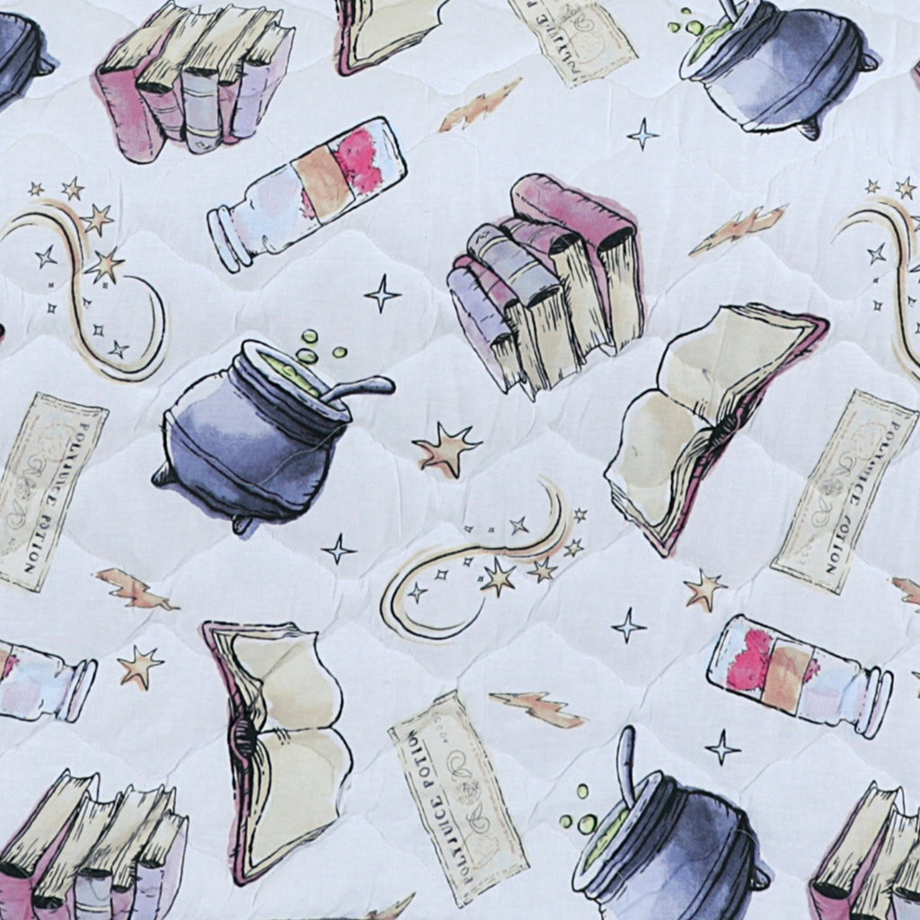 Cartoon Character Summer Comforter Polyjuice-30173